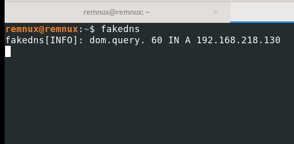 Wireshark on Remnux